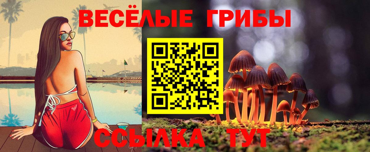 Шатура  закладки  Вход с VPN  Псилоцибиновые грибы мухоморы 